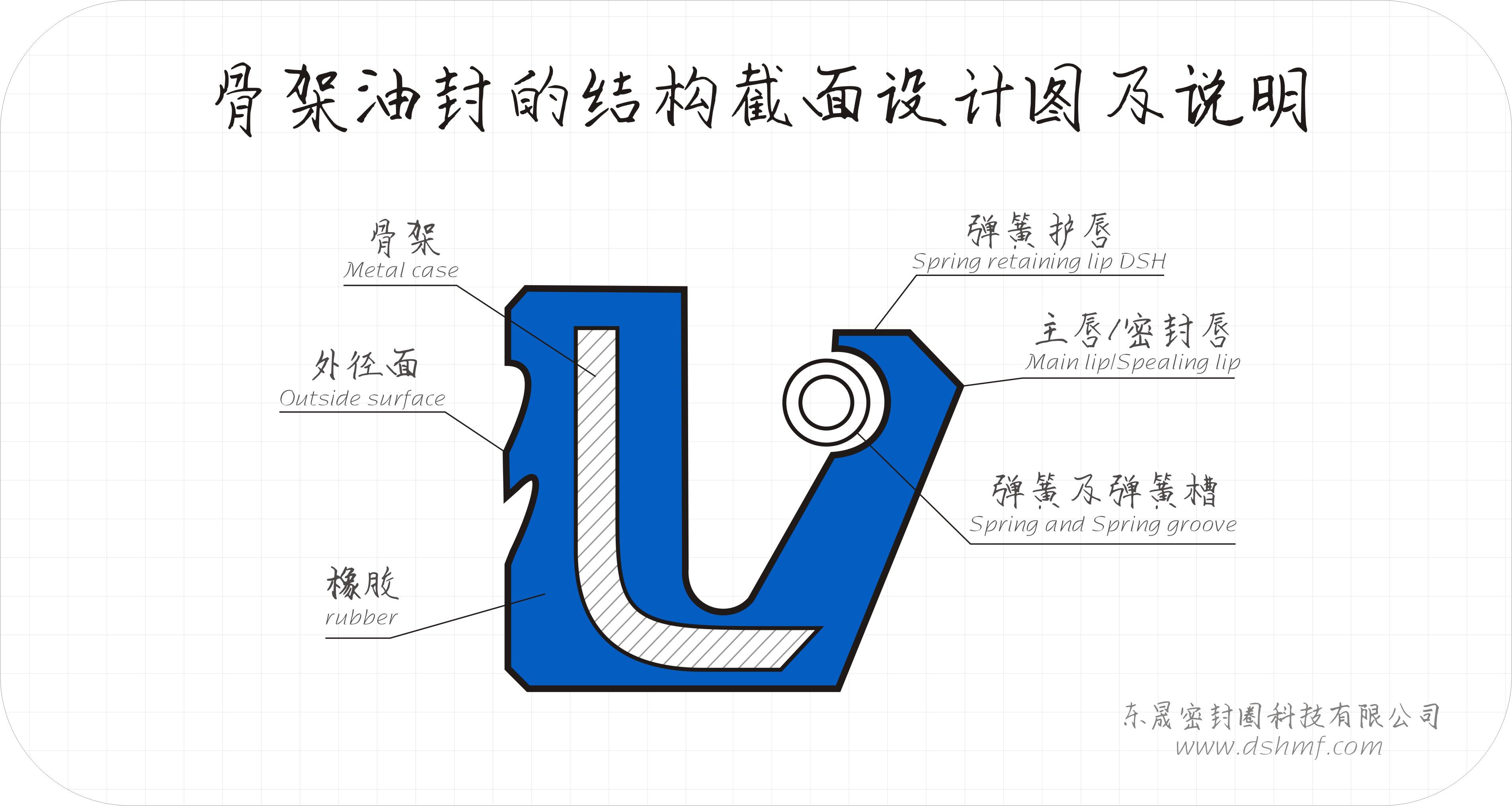 骨架油封結構圖