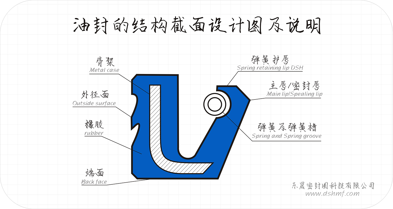 油封的結構截面設計圖及說明2 油封的結構截面設計圖及說明2