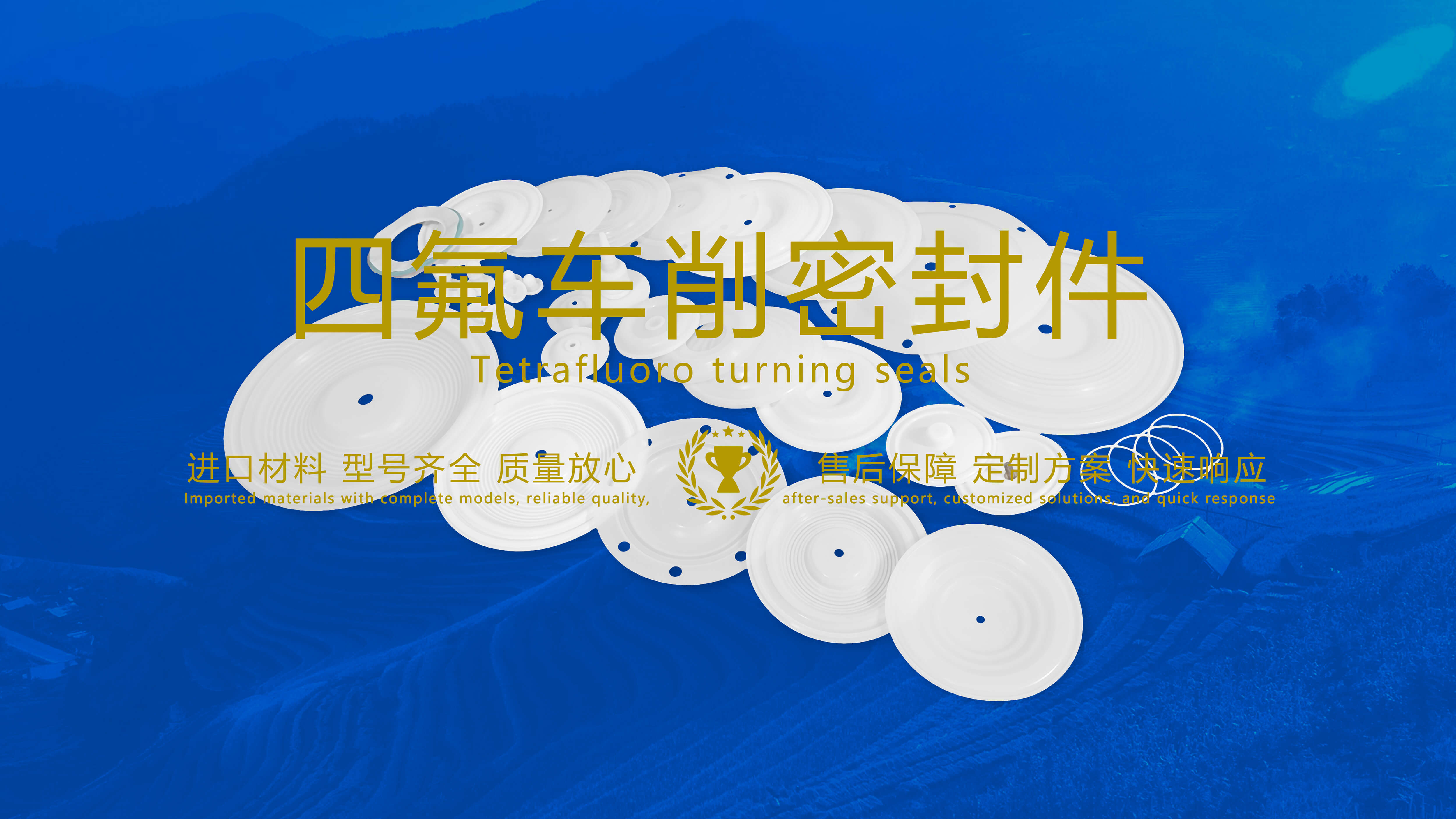 四氟車削密封件密封圈油封膜片配件產品圖