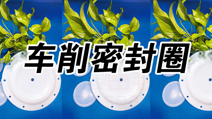 2車削密封圈，氣動隔膜泵膜片密封件